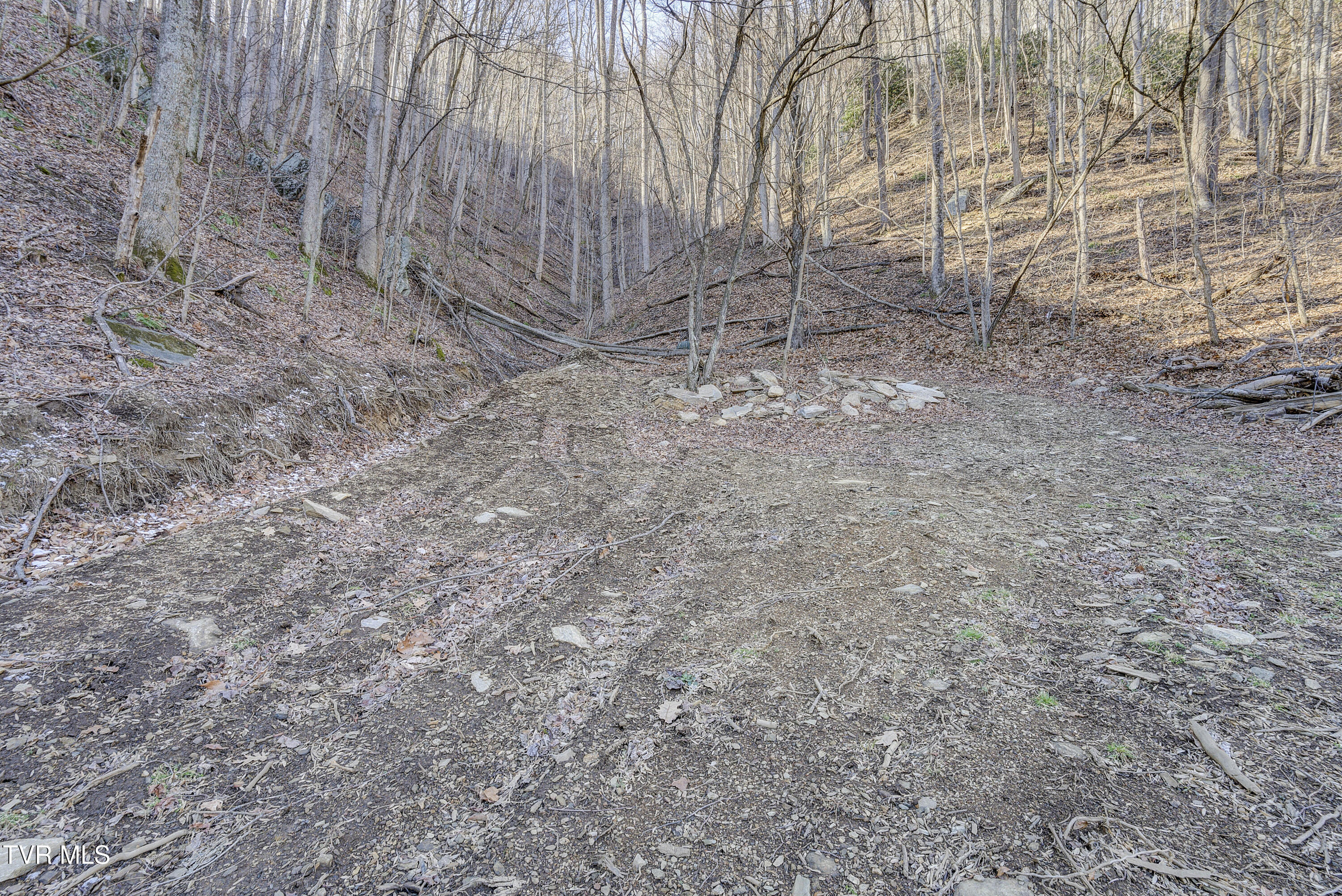 406 Mathis Road Flag Pond, TN 37657 - Photo 48 of 79 Mathis-59