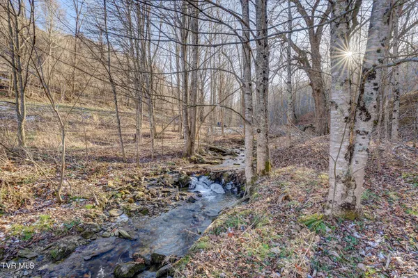 $465,000 | 406 Mathis Road, Flag Pond, TN 37657