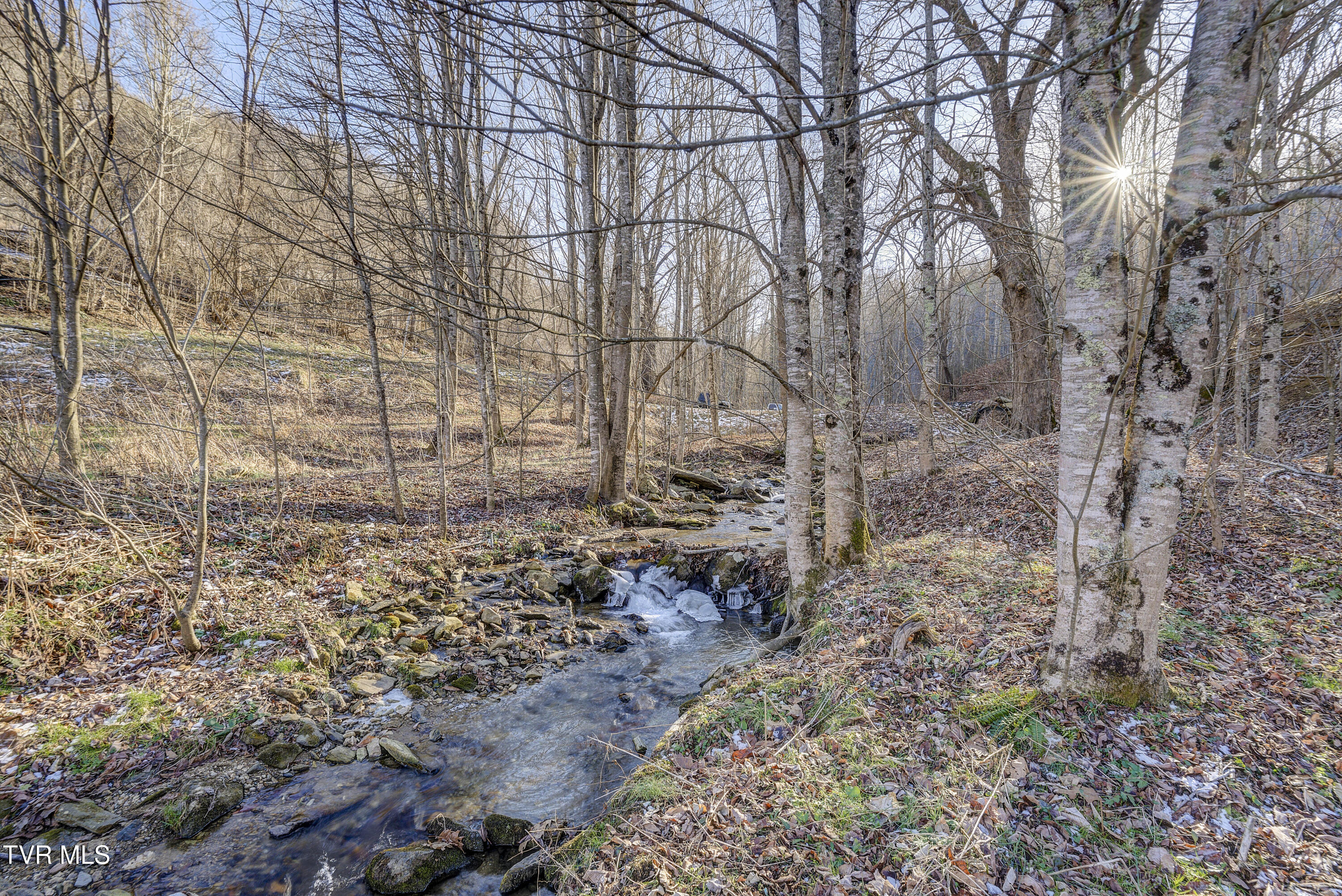 406 Mathis Road Flag Pond, TN 37657 - Photo 59 of 79 Mathis-70