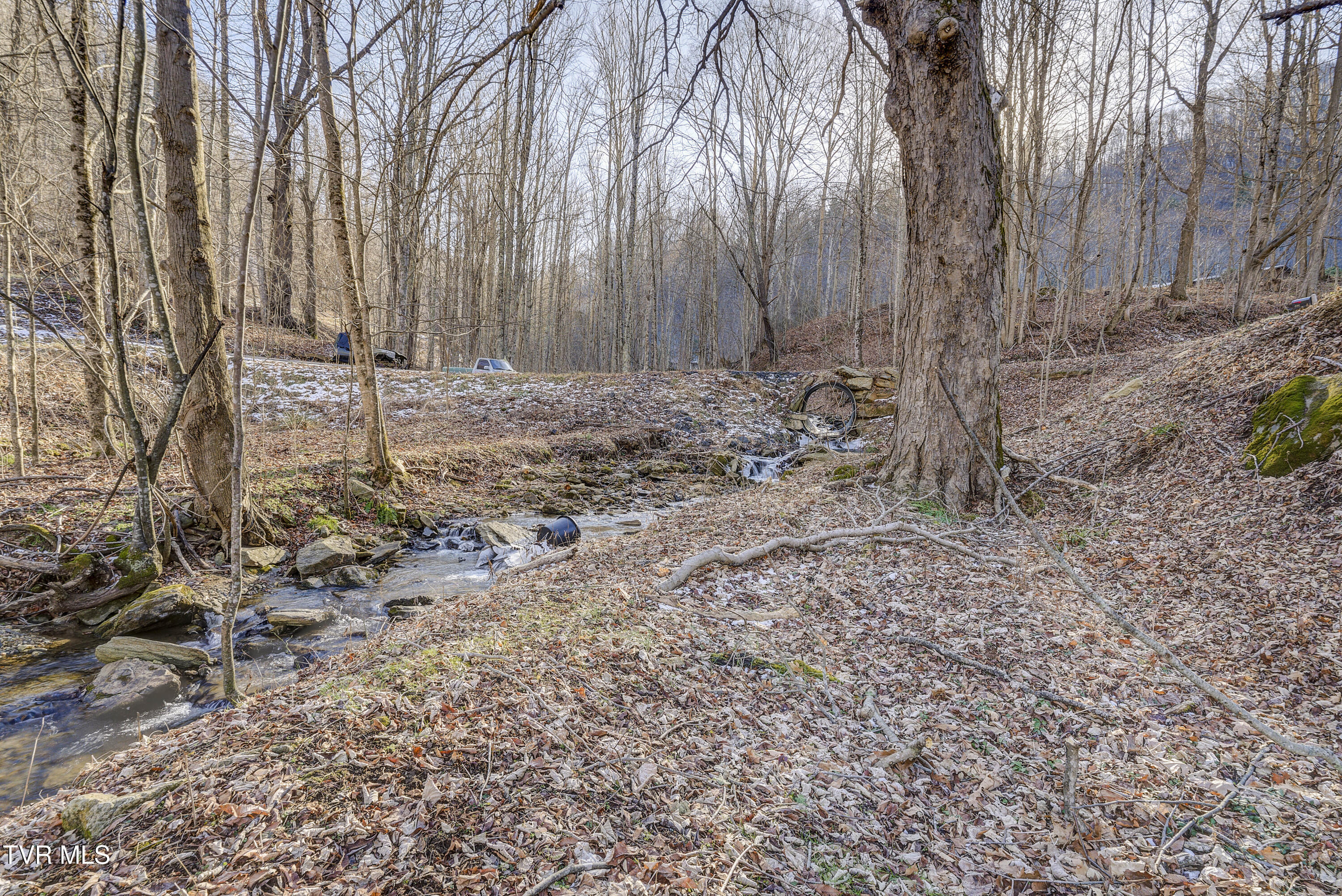 406 Mathis Road Flag Pond, TN 37657 - Photo 60 of 79 Mathis-71