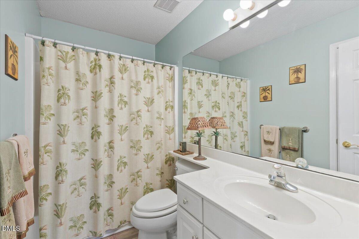 4317 South Mountain Drive Raleigh, NC 27603 - Photo 28 of 57 a bathroom with a sink and a toilet
