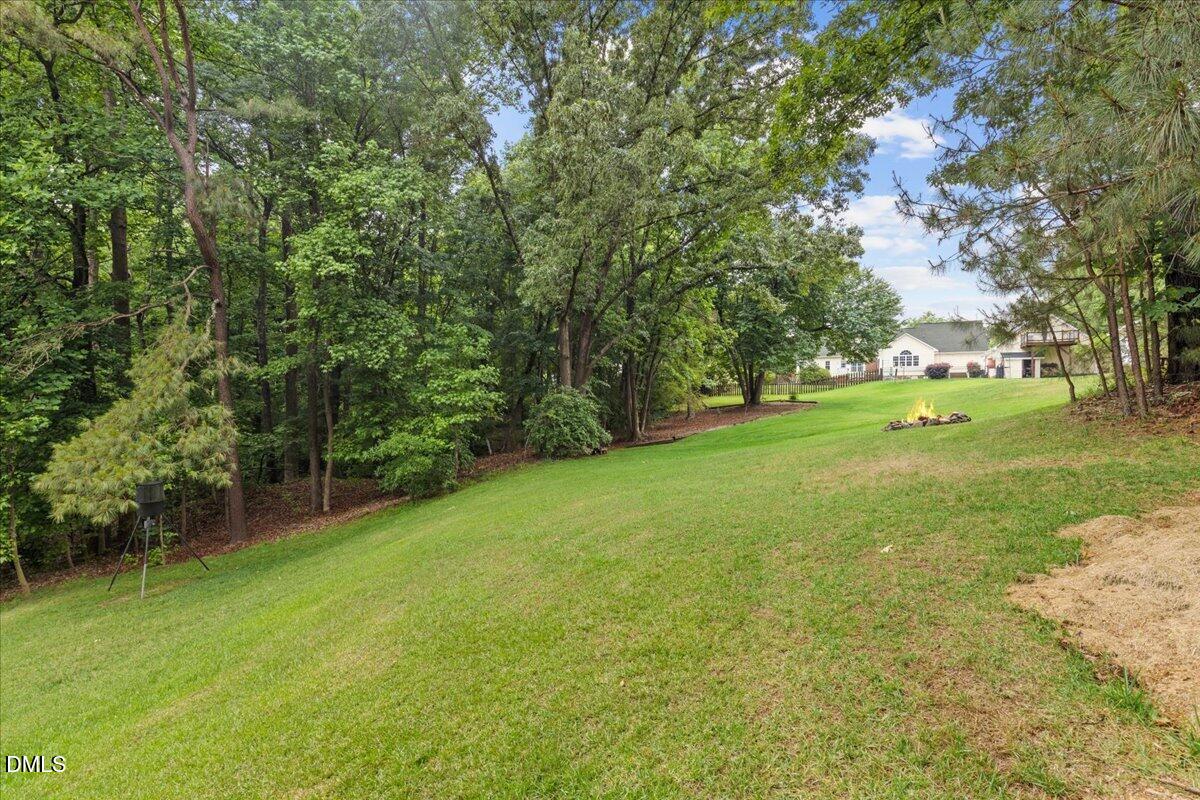 4317 South Mountain Drive Raleigh, NC 27603 - Photo 47 of 57 a view of a field with a tree