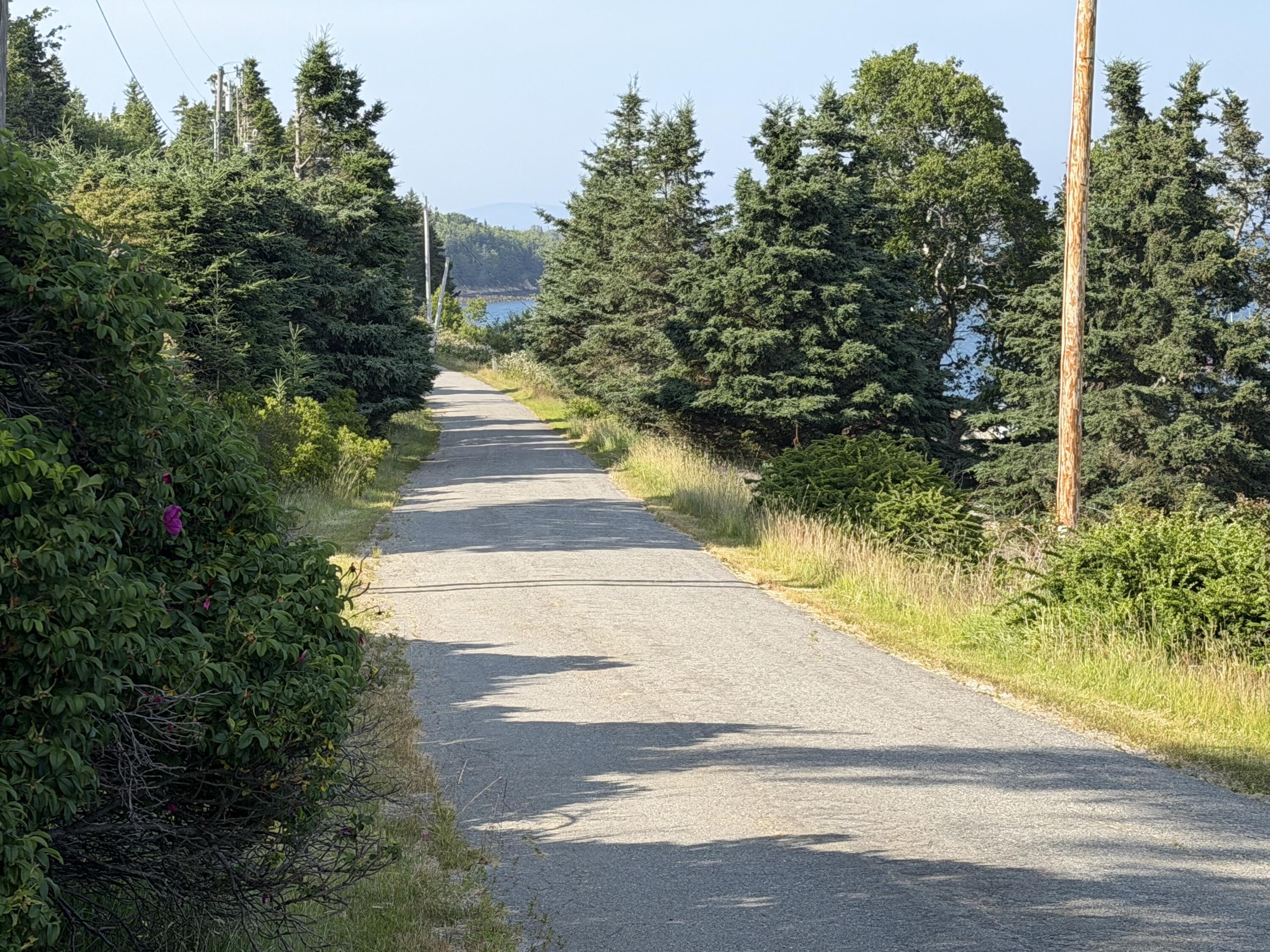 6 West Shore Road Frenchboro, ME 04635 - Photo 8 of 10 road frontage
