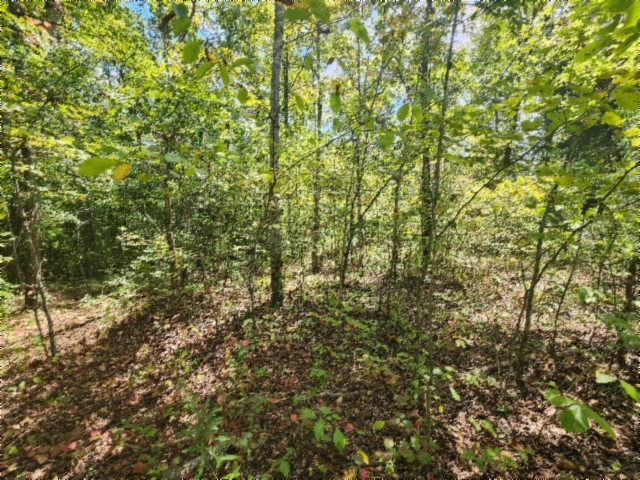 0 Glenobey Road Jamestown, TN 38556 - Photo 11 of 32 a view of a yard