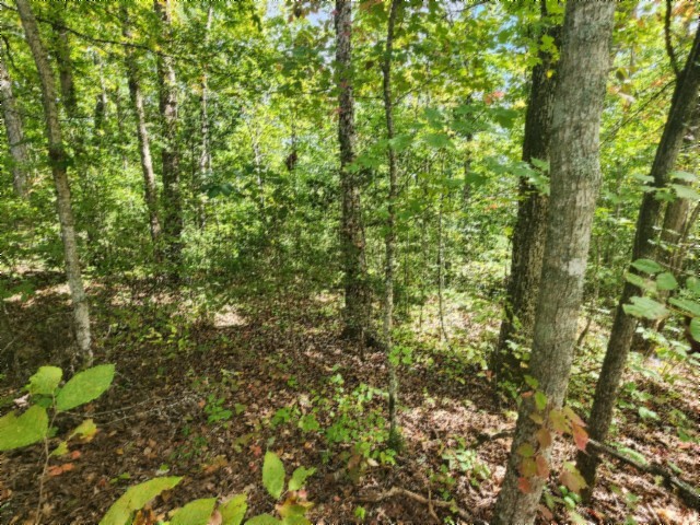 0 Glenobey Road Jamestown, TN 38556 - Photo 12 of 32 a view of a yard