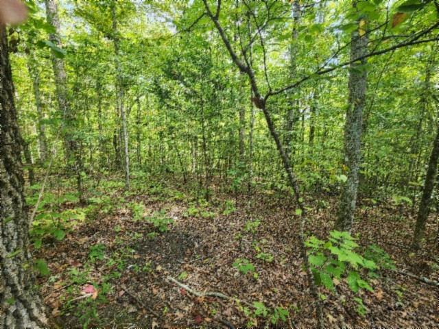 0 Glenobey Road Jamestown, TN 38556 - Photo 15 of 32 a view of a lush green forest