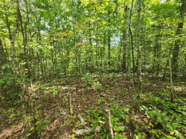 0 Glenobey Road Jamestown, TN 38556 - Photo 19 of 32 a view of a lush green forest