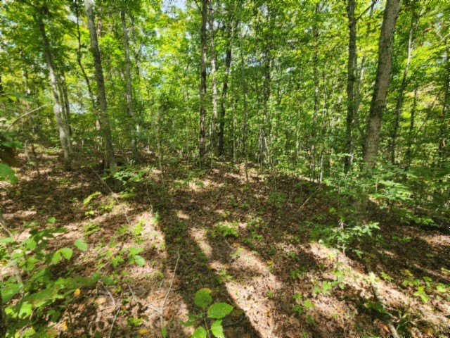 0 Glenobey Road Jamestown, TN 38556 - Photo 23 of 32 a view of a yard