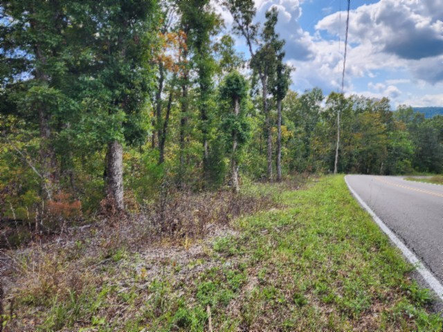 0 Glenobey Road Jamestown, TN 38556 - Photo 26 of 32 a view of a forest with trees