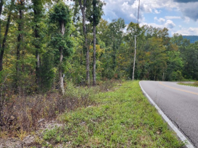 0 Glenobey Road Jamestown, TN 38556 - Photo 28 of 32 a view of a forest with trees in the background