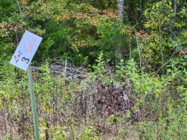 0 Glenobey Road Jamestown, TN 38556 - Photo 3 of 32 a view of yard