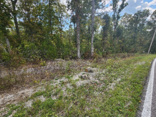 0 Glenobey Road Jamestown, TN 38556 - Photo 5 of 32 a big yard with lots of green space and deers