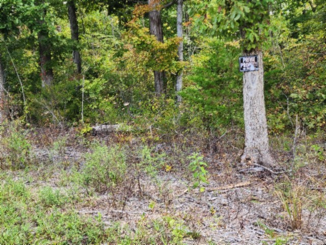 0 Glenobey Road Jamestown, TN 38556 - Photo 8 of 32 a view of a forest with large trees