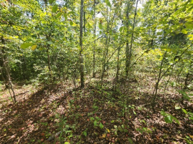 0 Glenobey Road Jamestown, TN 38556 - Photo 10 of 32 a view of a yard