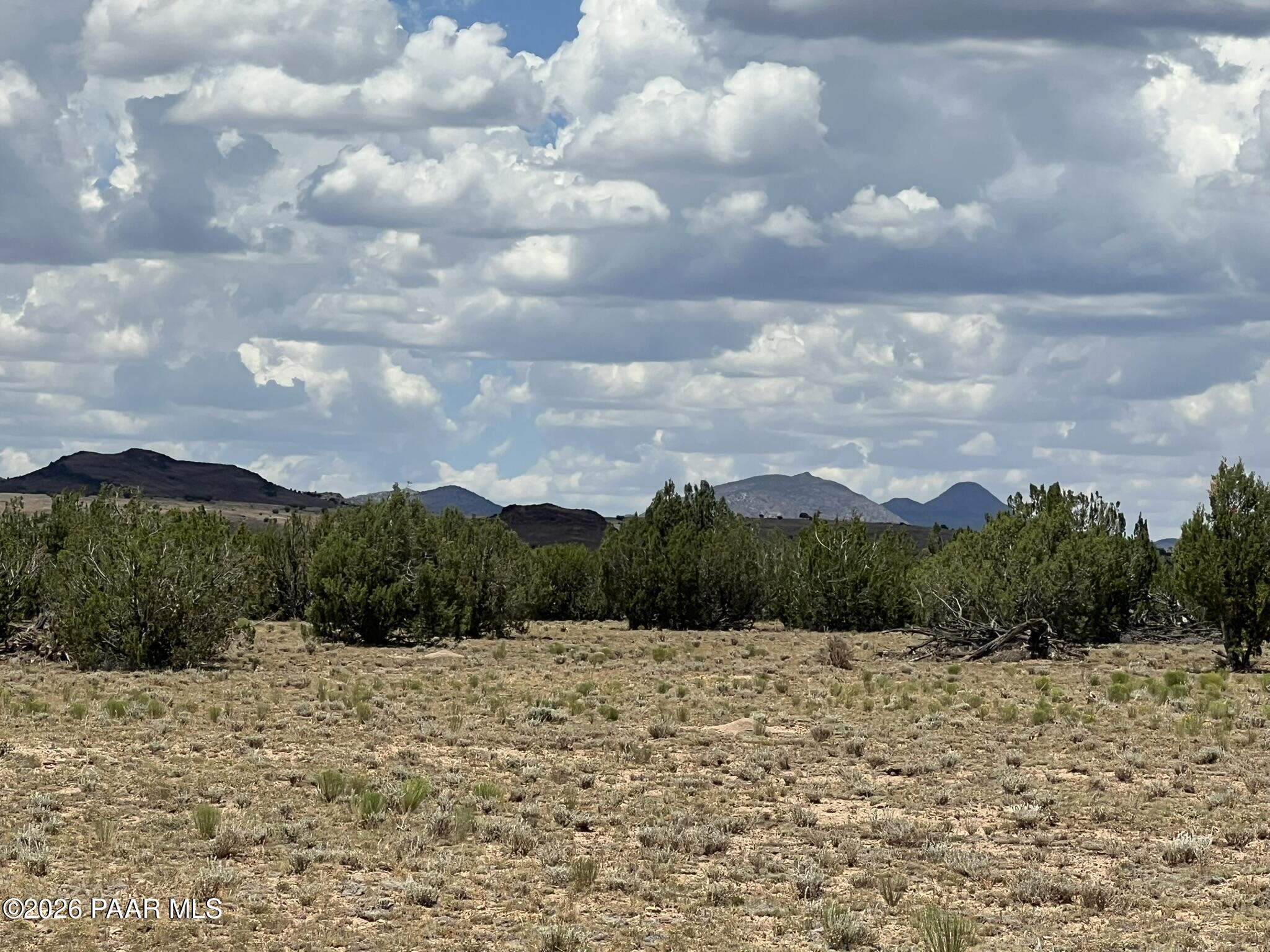 59 Rocky Rabbit Road Ash Fork, AZ 86320 - Photo 4 of 9 IMG_0171