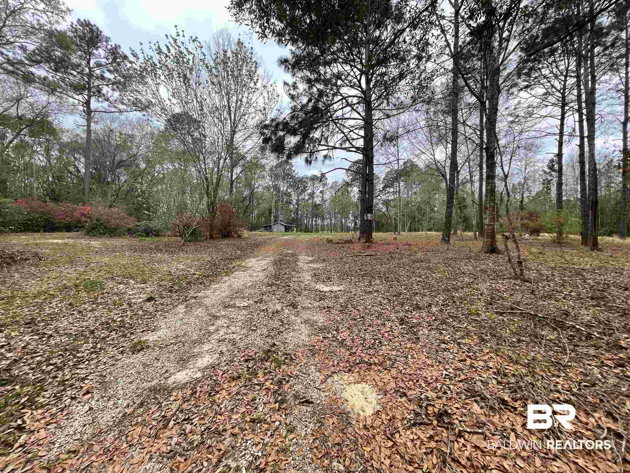 11180 Henderson Camp Road Grand Bay, AL 36541 - Photo 1 of 9