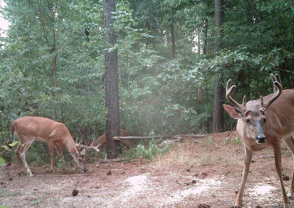1280 Parson Road McConnells, SC 29726 - Photo 2 of 14