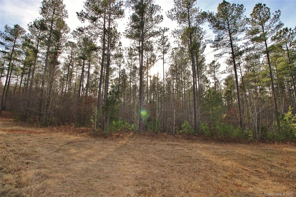 1280 Parson Road McConnells, SC 29726 - Photo 11 of 14