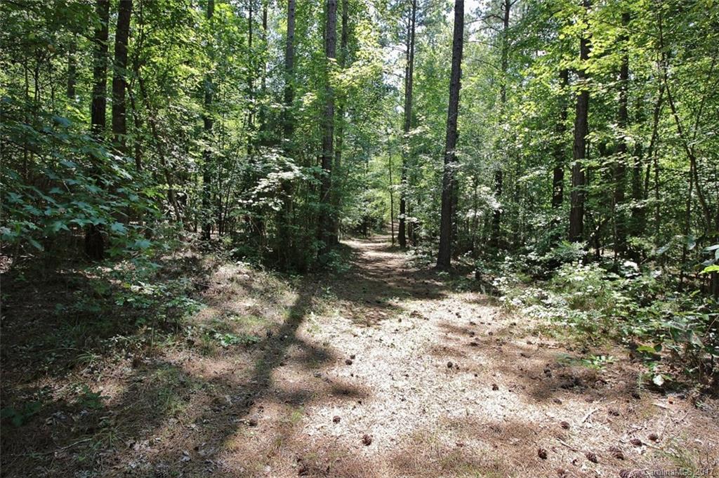 1280 Parson Road McConnells, SC 29726 - Photo 12 of 14