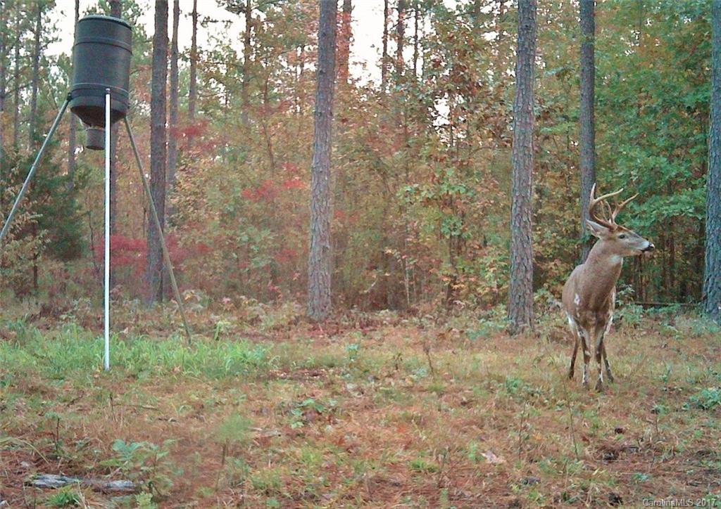 1280 Parson Road McConnells, SC 29726 - Photo 13 of 14