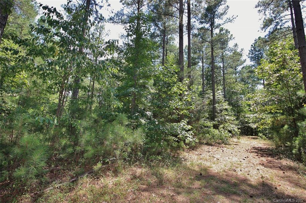 1280 Parson Road McConnells, SC 29726 - Photo 6 of 14