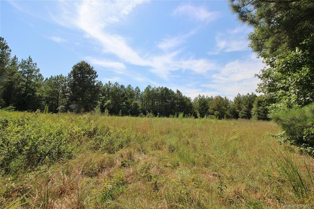 1280 Parson Road McConnells, SC 29726 - Photo 8 of 14