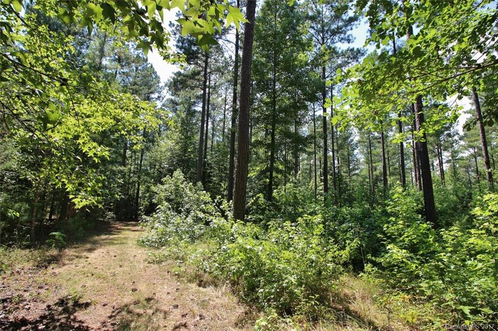 1280 Parson Road McConnells, SC 29726 - Photo 10 of 14