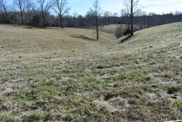 $23,000 | 0 Dyer Ridge Road, Baxter, TN 38544