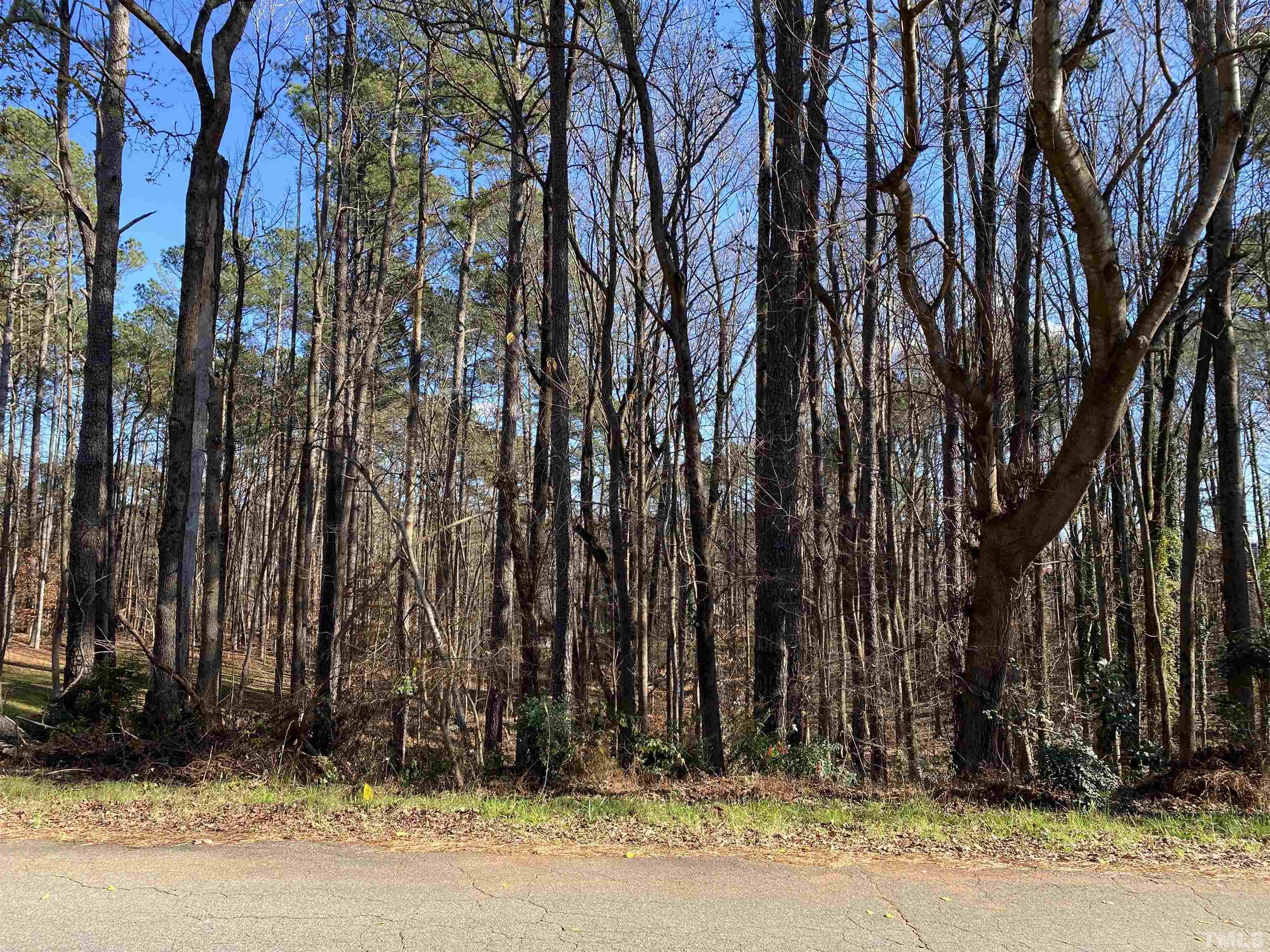 a view of a house with a trees