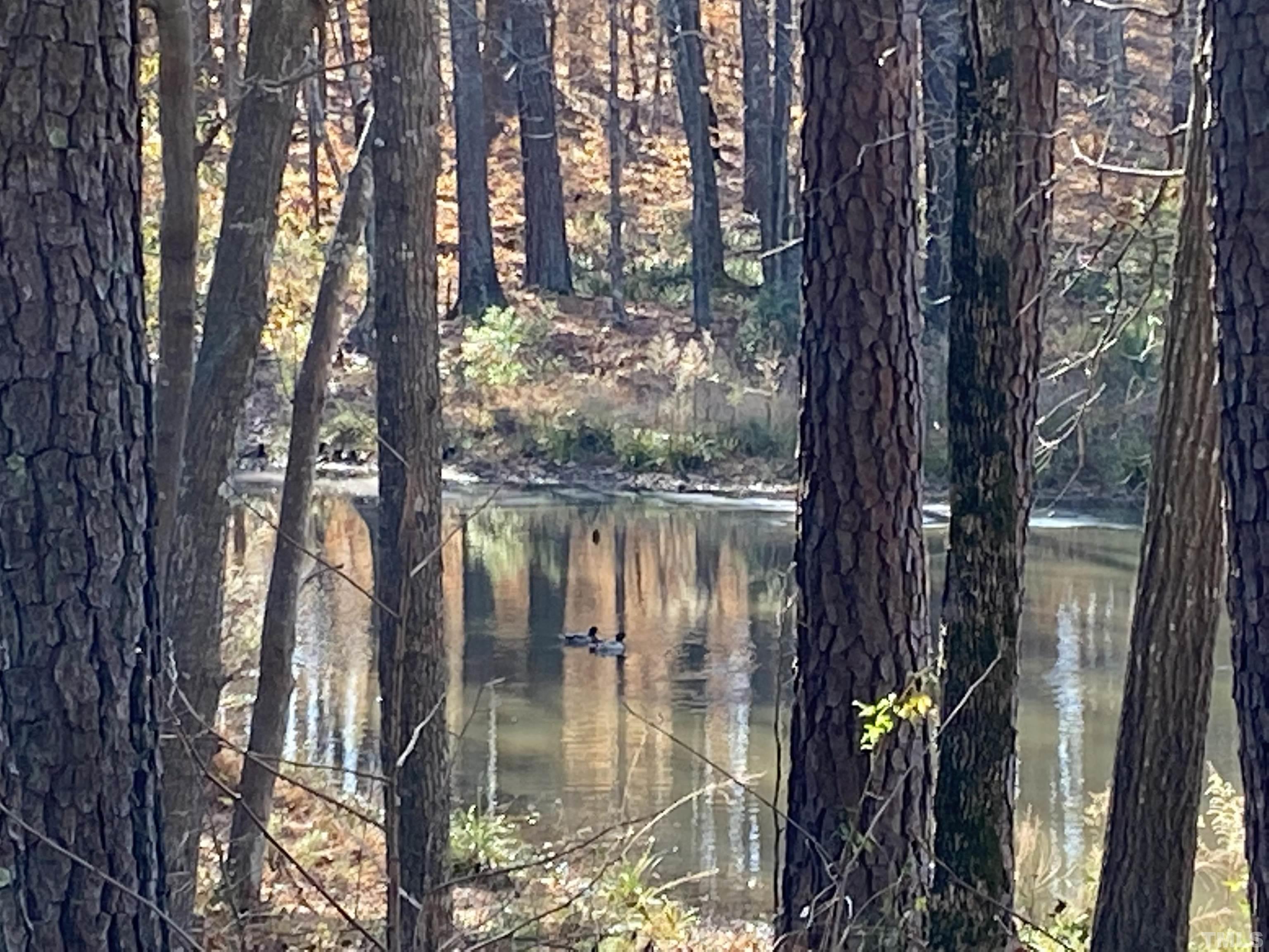 11108 Crestmont Drive Raleigh, NC 27613 - Photo 3 of 3 a view of lake from a tree