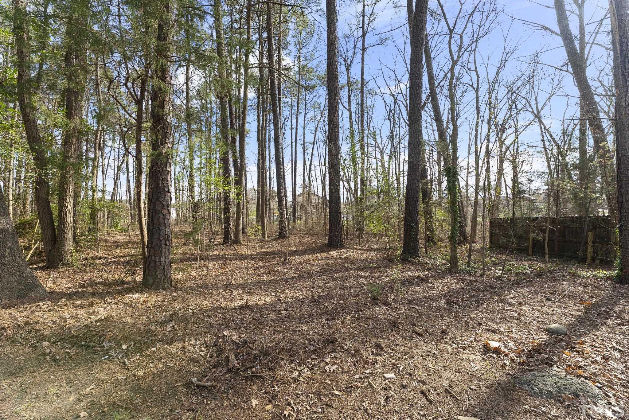 2125 Strebor Street Durham, NC 27705 - Photo 33 of 38 a view of outdoor space with deck and tree