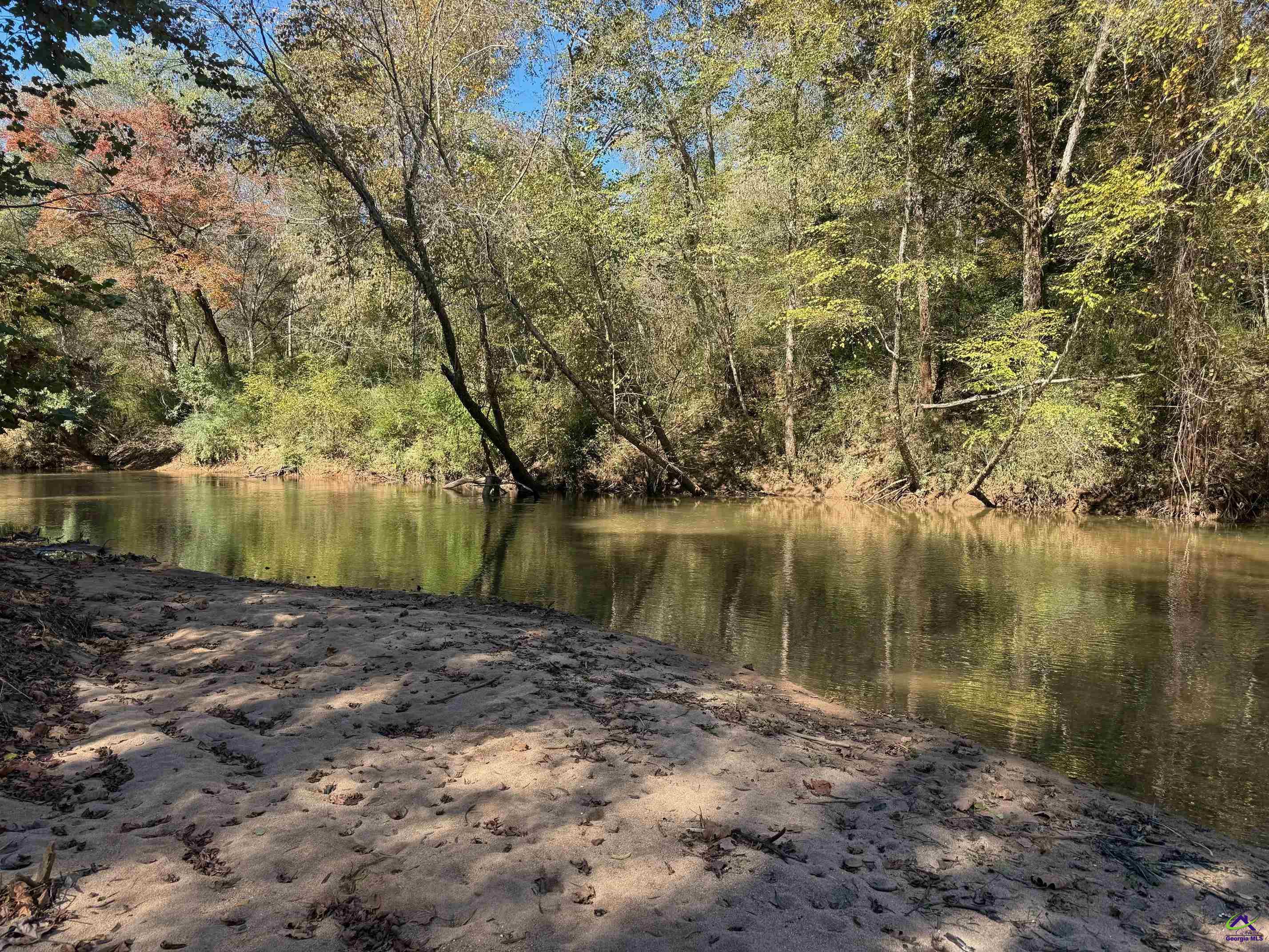 3271 Highway 42 Forsyth, GA 31029 - Photo 4 of 29