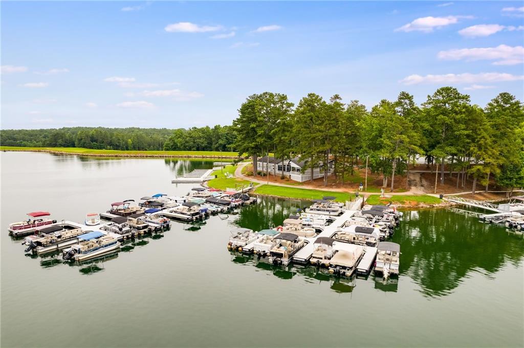 3339 Cherokee Court Villa Rica, GA 30180 - Photo 14 of 24 a view of a lake with boats and trees all around