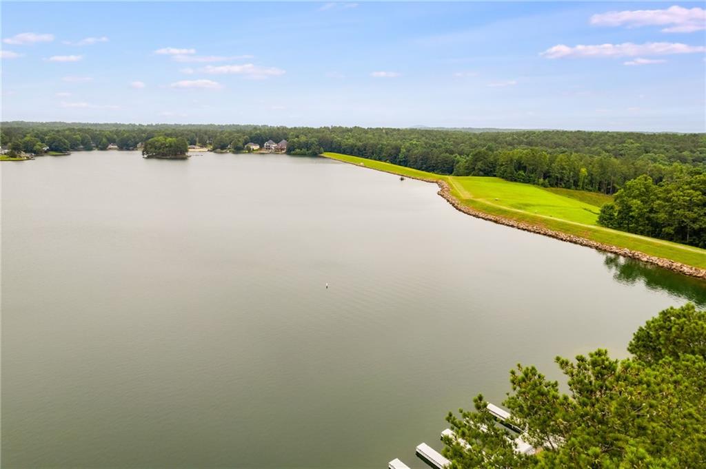 3339 Cherokee Court Villa Rica, GA 30180 - Photo 18 of 24 a view of a lake with a city