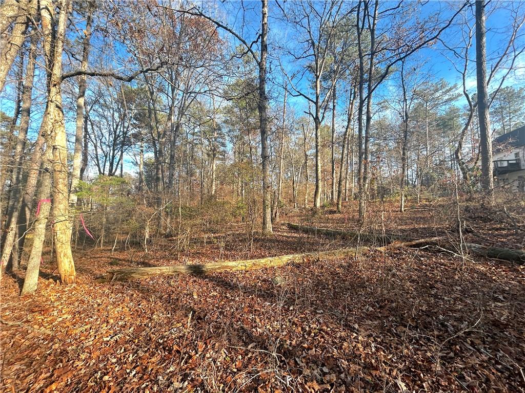 3339 Cherokee Court Villa Rica, GA 30180 - Photo 3 of 24 a backyard of a house