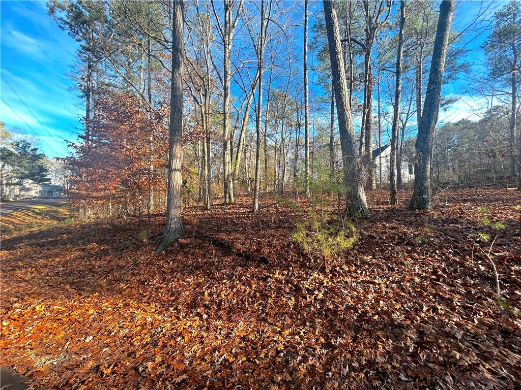 3339 Cherokee Court Villa Rica, GA 30180 - Photo 4 of 24 a view of backyard with green space