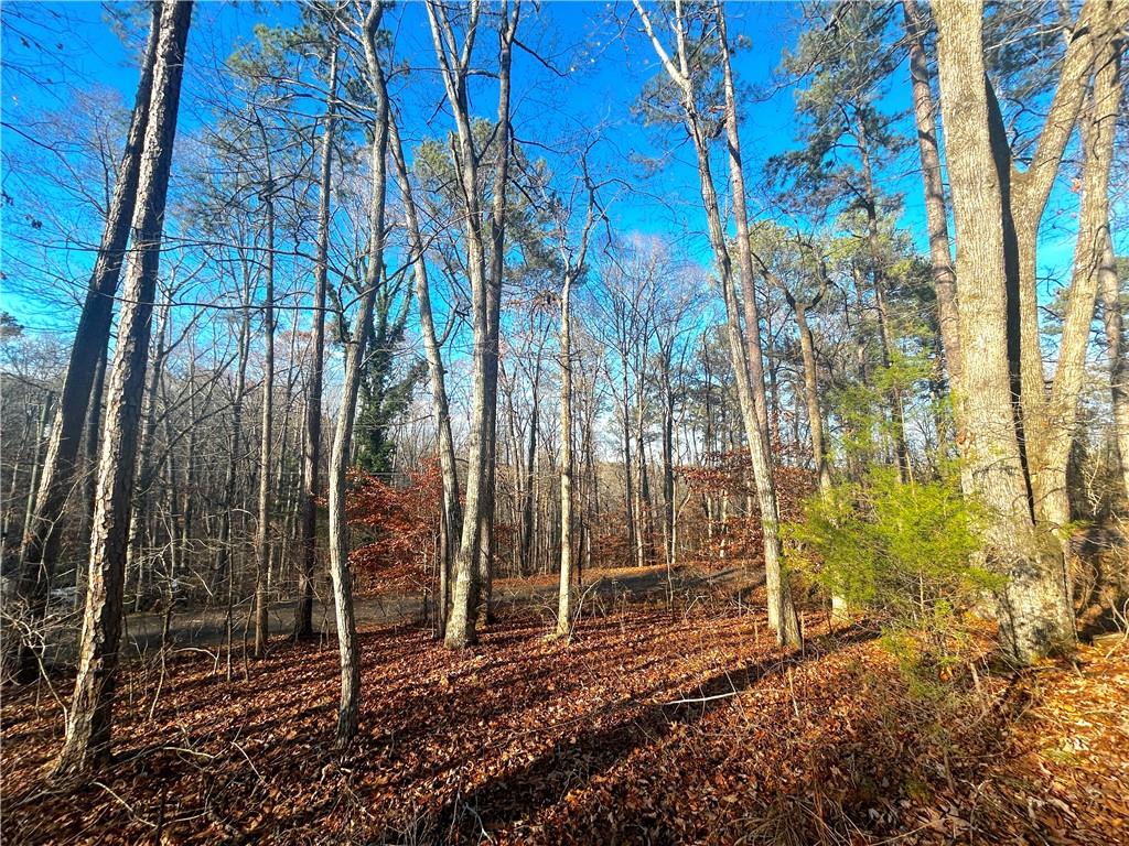 3339 Cherokee Court Villa Rica, GA 30180 - Photo 5 of 24 a backyard of a house with lots of green space