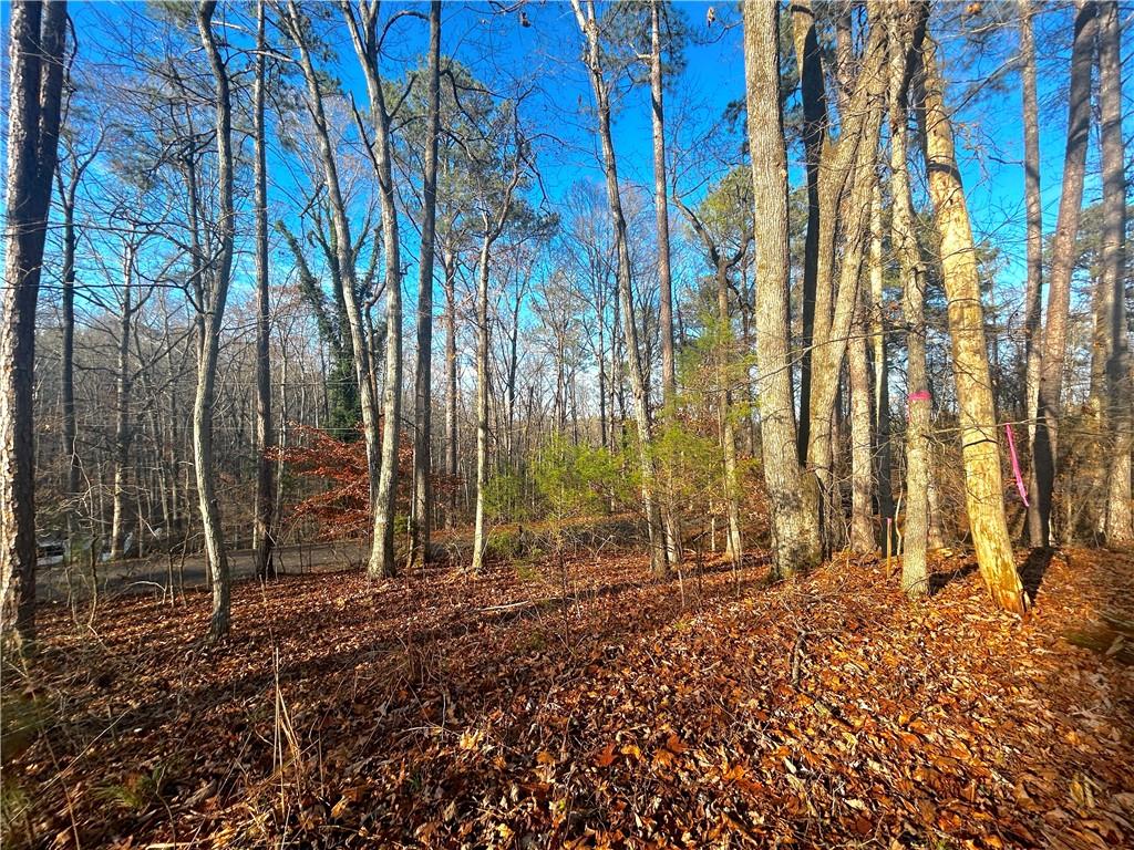 3339 Cherokee Court Villa Rica, GA 30180 - Photo 6 of 24 a backyard of a house with lots of green space