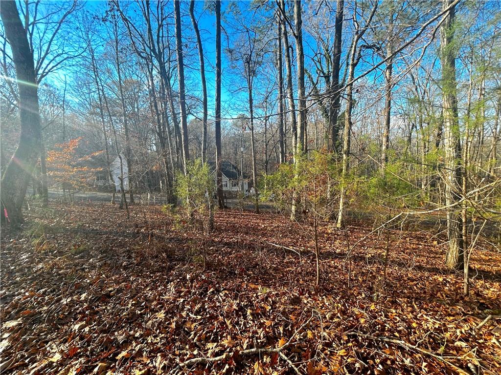 3339 Cherokee Court Villa Rica, GA 30180 - Photo 8 of 24 a view of a garden