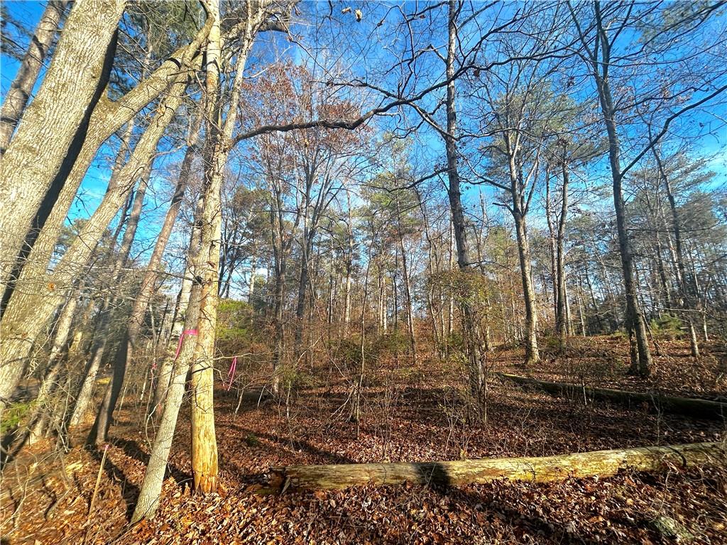 3339 Cherokee Court Villa Rica, GA 30180 - Photo 9 of 24 a view of a yard with trees