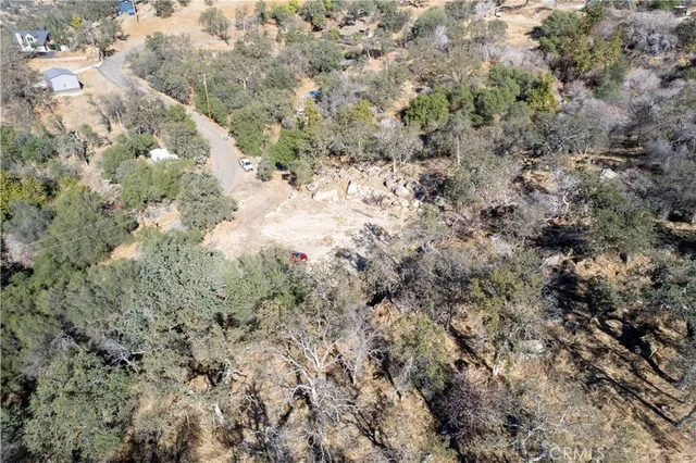 a view of a forest with trees