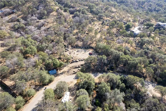 a view of a tree with a yard