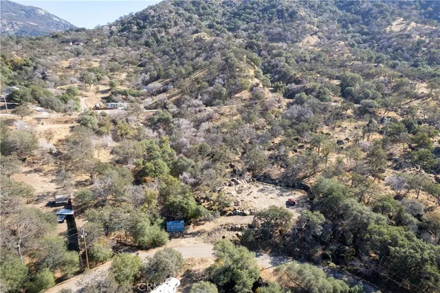 a view of a dry yard with lots of trees