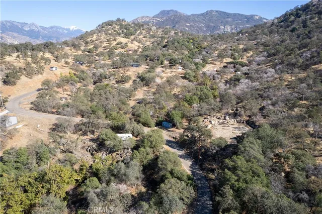 a view of a dry yard with trees in the background