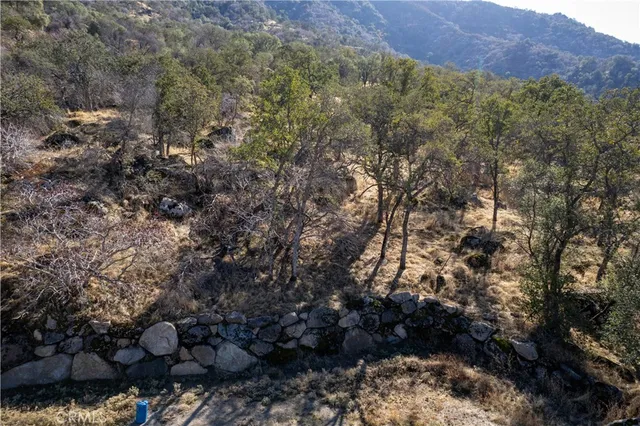 a view of a snow with trees in the background