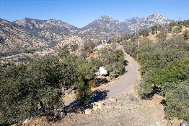 a view of a forest with lots of trees