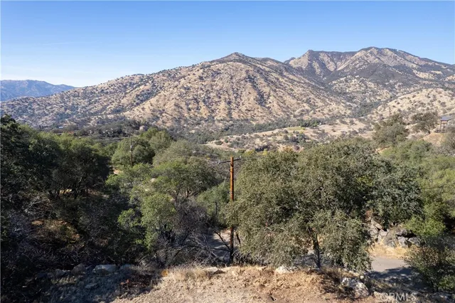 a view of a tree with a yard and mountain view