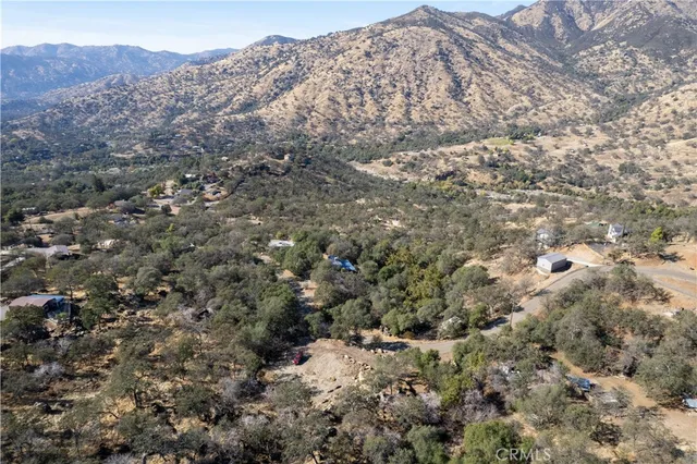 a view of a large tree