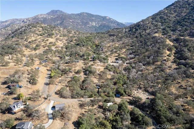 a view of a dry yard with lots of bushes