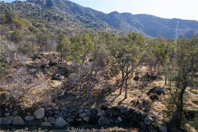 $99,999 | 45352 Hammond Drive, Three Rivers, CA 93271